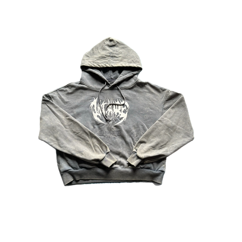 VICAIRE ARCANE HOODIE